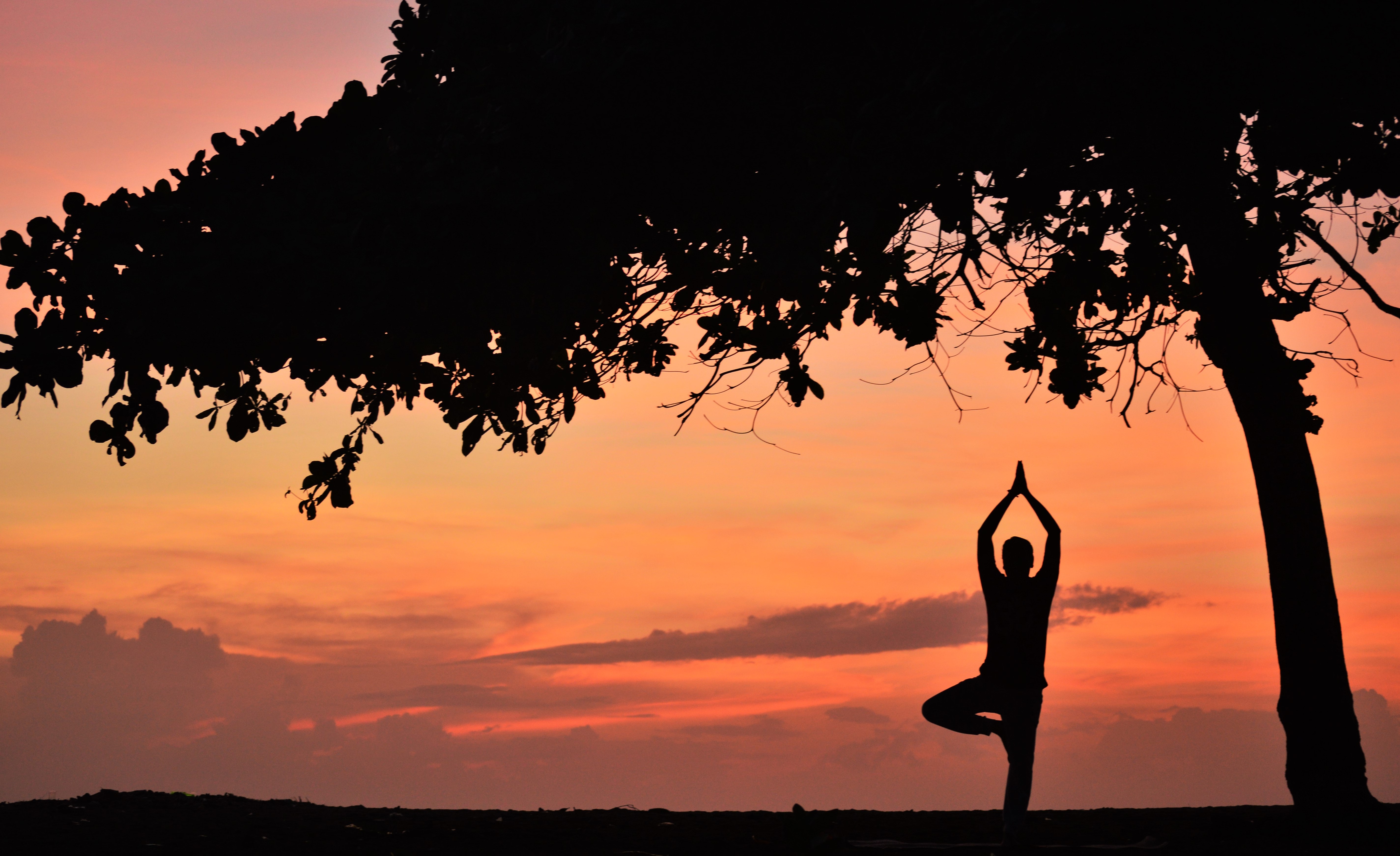 Contact Shree Ambika Yoga Niketan